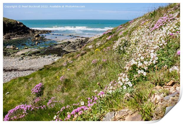 Summer Flowers at Cable Bay Anglesey Coast Print by Pearl Bucknall