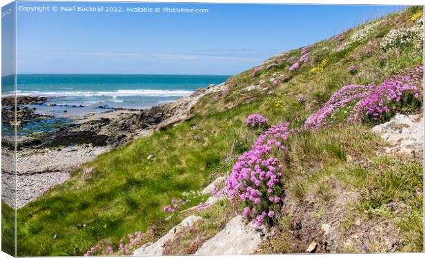 Summer Flowers at Cable Bay Anglesey Coast Canvas Print by Pearl Bucknall