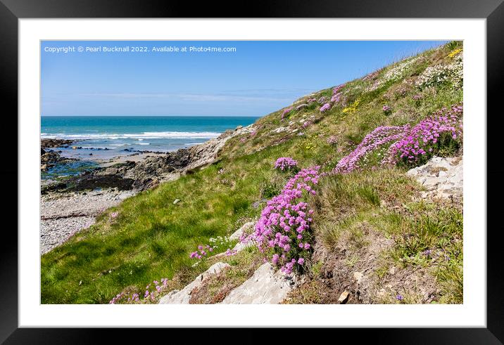 Summer Flowers at Cable Bay Anglesey Coast Framed Mounted Print by Pearl Bucknall