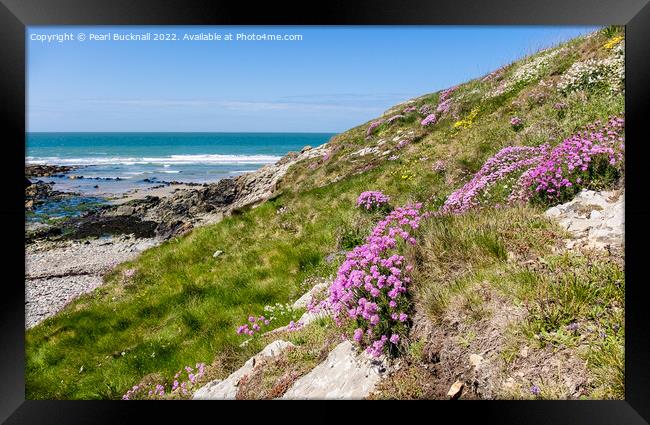 Summer Flowers at Cable Bay Anglesey Coast Framed Print by Pearl Bucknall