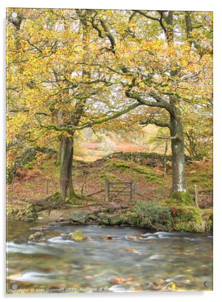 Autumn River Crossing  Acrylic by Alan Dunnett