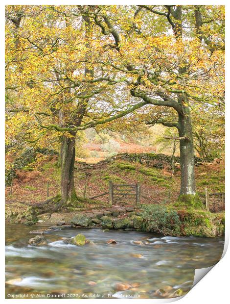 Autumn River Crossing  Print by Alan Dunnett