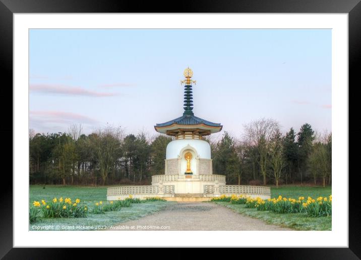 Peace Pagoda, Milton Keynes Framed Mounted Print by Grant Mckane