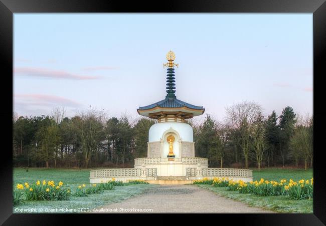 Peace Pagoda, Milton Keynes Framed Print by Grant Mckane