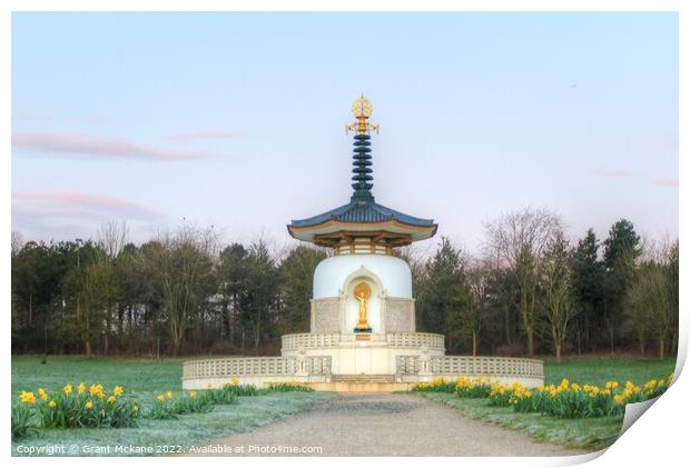 Peace Pagoda, Milton Keynes Print by Grant Mckane