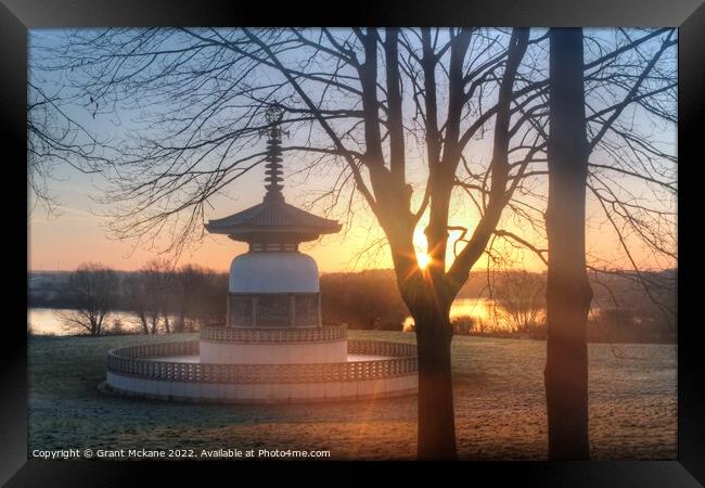 Peace Pagoda Sunrise Framed Print by Grant Mckane