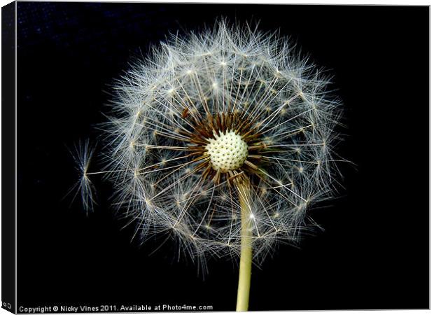 Dandelion Puff Canvas Print by Nicky Vines