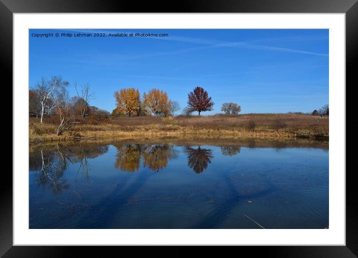 Fall Reflections 2 Framed Mounted Print by Philip Lehman