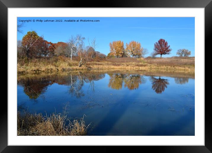 Fall Reflections 4 Framed Mounted Print by Philip Lehman
