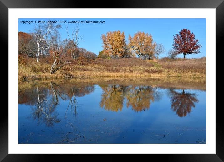 Fall Reflections 5 Framed Mounted Print by Philip Lehman