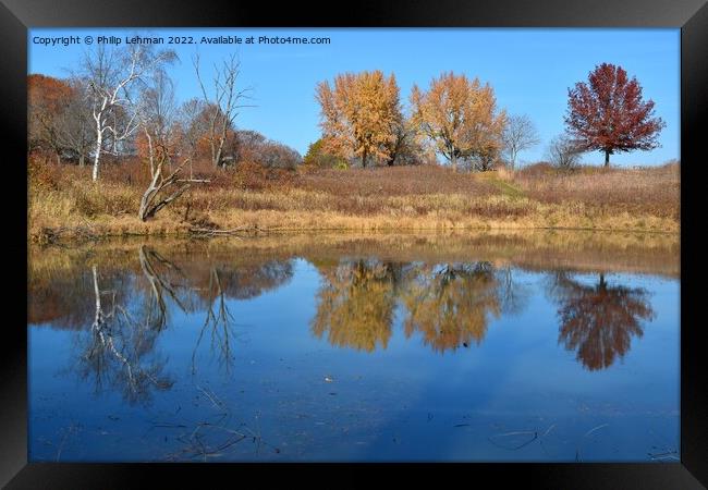 Fall Reflections 5 Framed Print by Philip Lehman