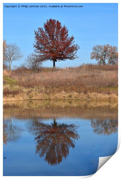 Fall Reflections 1 Print by Philip Lehman