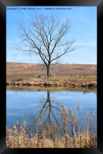 Fall Reflections 6 Framed Print by Philip Lehman