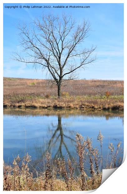 Fall Reflections 6 Print by Philip Lehman