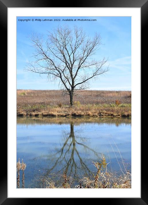 Fall Reflections 8 Framed Mounted Print by Philip Lehman