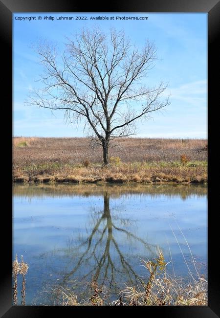 Fall Reflections 8 Framed Print by Philip Lehman