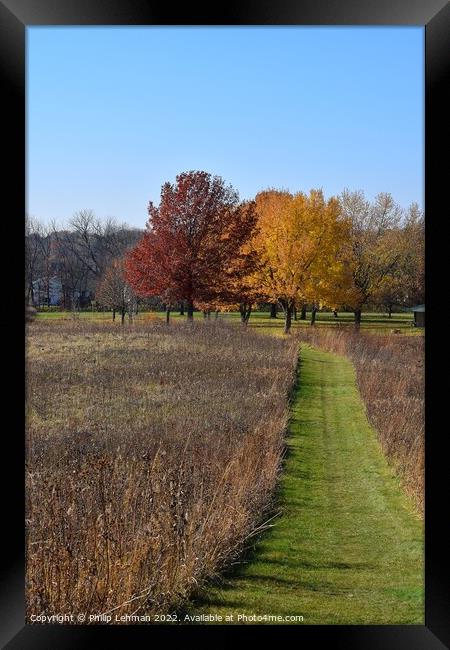 Badger Prairie Fall (67A) Framed Print by Philip Lehman