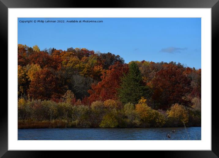 Yellowstone Lake Fall colors (31A) Framed Mounted Print by Philip Lehman