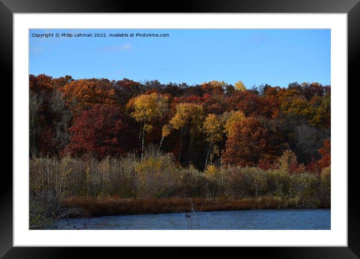 Yellowstone Lake Fall colors (32A) Framed Mounted Print by Philip Lehman