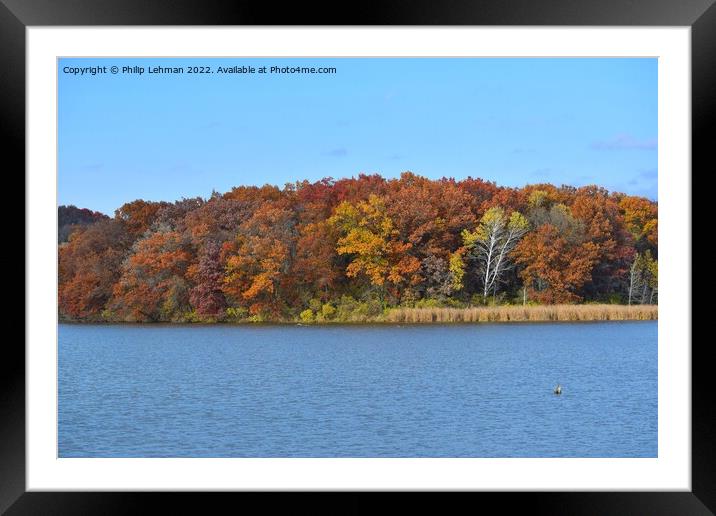 Yellowstone Lake Fall colors (42A) Framed Mounted Print by Philip Lehman