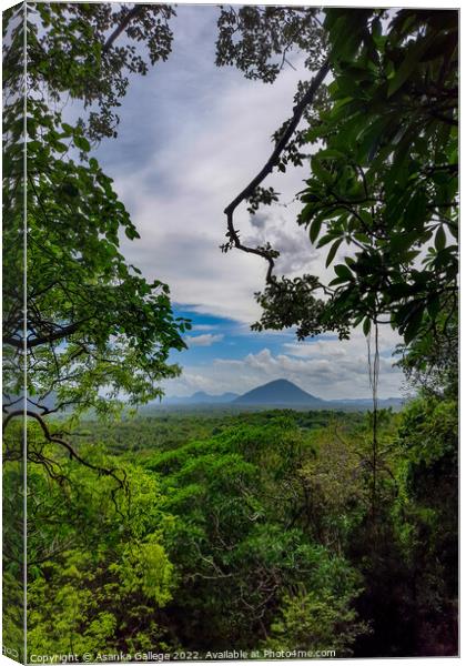 Peeping into the heavens... Canvas Print by Asanka Gallege