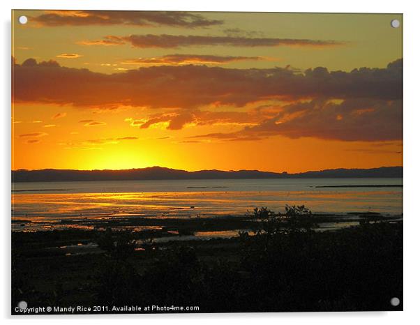 Thames NZ sunset Acrylic by Mandy Rice