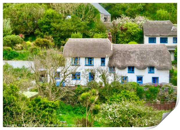 Blue Framed Thatched Cottages in Cadgwith Cove Print by Beryl Curran