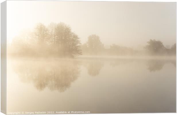 Foggy early morning on a lake. Canvas Print by Sergey Fedoskin
