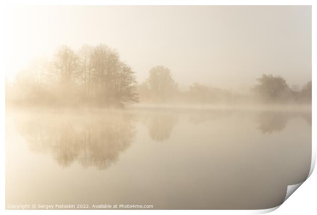 Foggy early morning on a lake. Print by Sergey Fedoskin