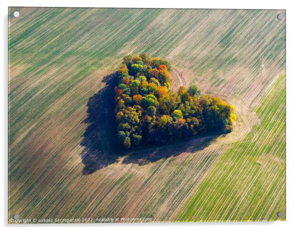 Heart of a nature Acrylic by Łukasz Szczepański