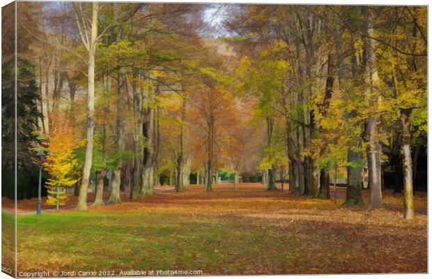 Autumn on Paseo Maristany - CR2011-4024-ABS Canvas Print by Jordi Carrio