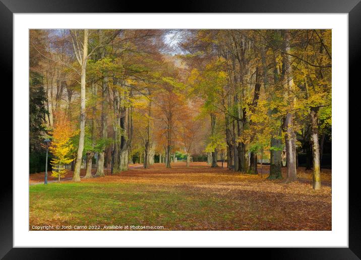 Autumn on Paseo Maristany - CR2011-4024-ABS Framed Mounted Print by Jordi Carrio