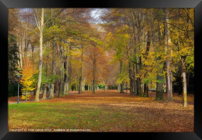 Autumn on Paseo Maristany - CR2011-4024-ABS Framed Print by Jordi Carrio