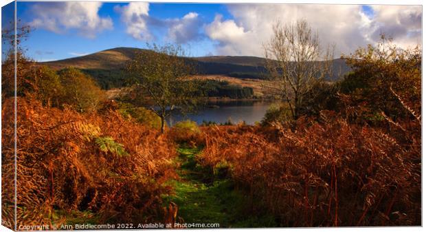 View down to Loch Doon  Canvas Print by Ann Biddlecombe