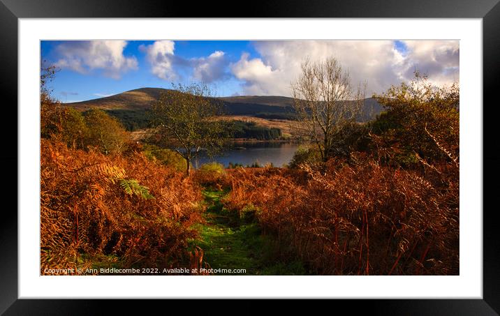 View down to Loch Doon  Framed Mounted Print by Ann Biddlecombe