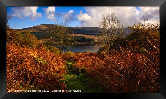 View down to Loch Doon  Framed Print by Ann Biddlecombe