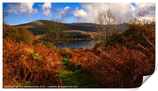 View down to Loch Doon  Print by Ann Biddlecombe