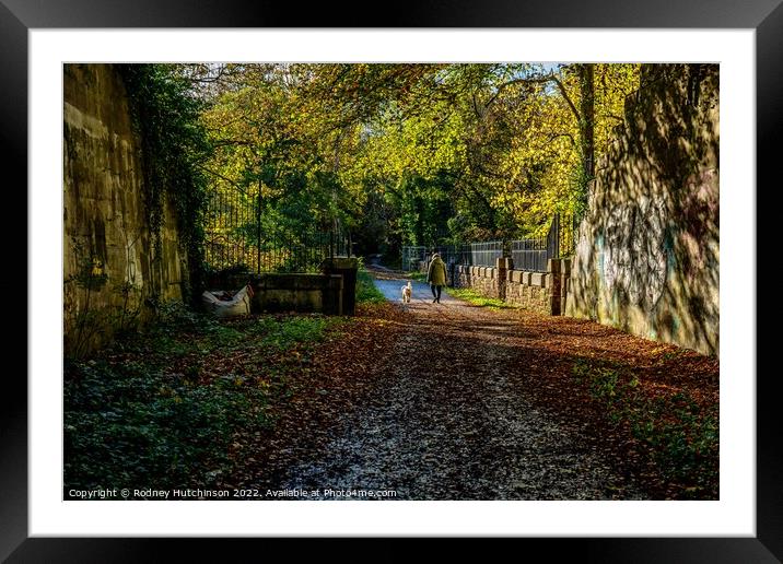 A Serene Autumn Walk Framed Mounted Print by Rodney Hutchinson