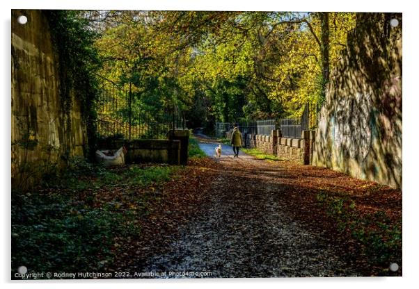 A Serene Autumn Walk Acrylic by Rodney Hutchinson