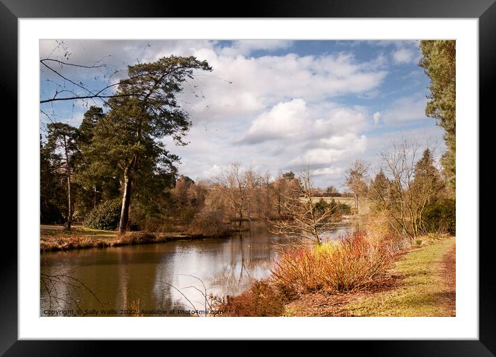path beside lake with colored dogwood Framed Mounted Print by Sally Wallis