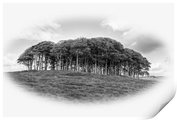 The Nearly Home trees monochrome Print by Diana Mower