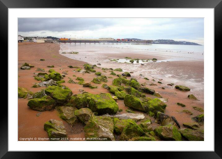 Red Sand and Seaweed Framed Mounted Print by Stephen Hamer