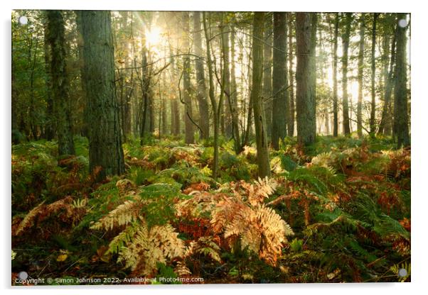 Woodland Sunlight  Acrylic by Simon Johnson
