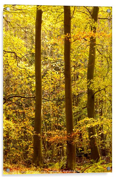 Autumn woodland  Acrylic by Simon Johnson