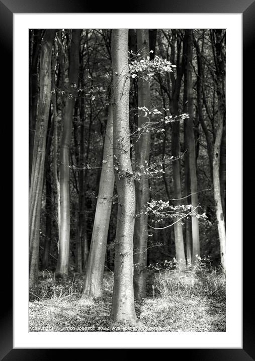 woodland monochrome  Framed Mounted Print by Simon Johnson