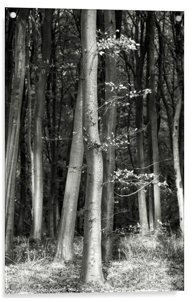 woodland monochrome  Acrylic by Simon Johnson