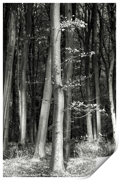 woodland monochrome  Print by Simon Johnson