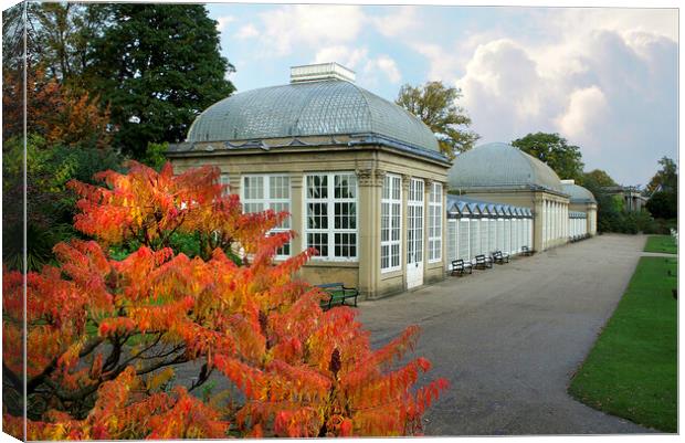 Sheffield Botanical Gardens Canvas Print by Alison Chambers