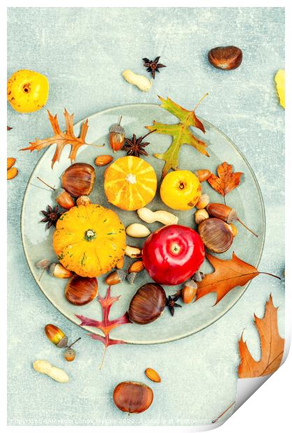 Autumn food, pumpkins and nuts. Print by Mykola Lunov Mykola