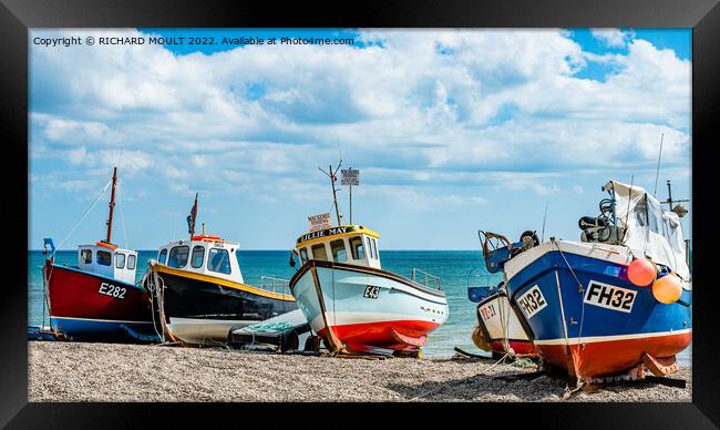 Fishing Boats On Beer Beach In Devon Framed Print by RICHARD MOULT